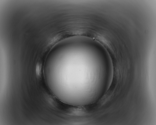 X0000086740118200704201713