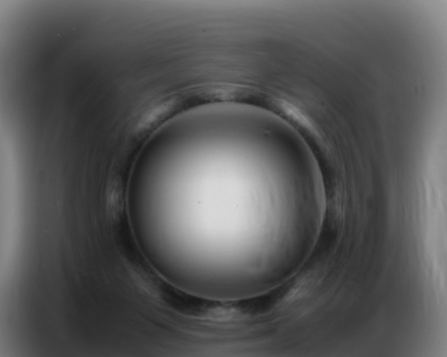 X0000086740119200704201713