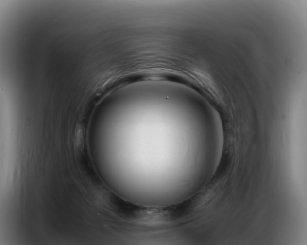 X0000086740121200704201713