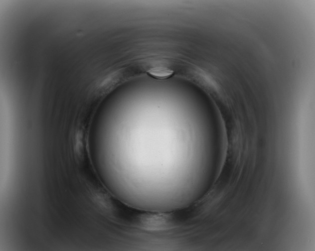 X0000086740122200704201713