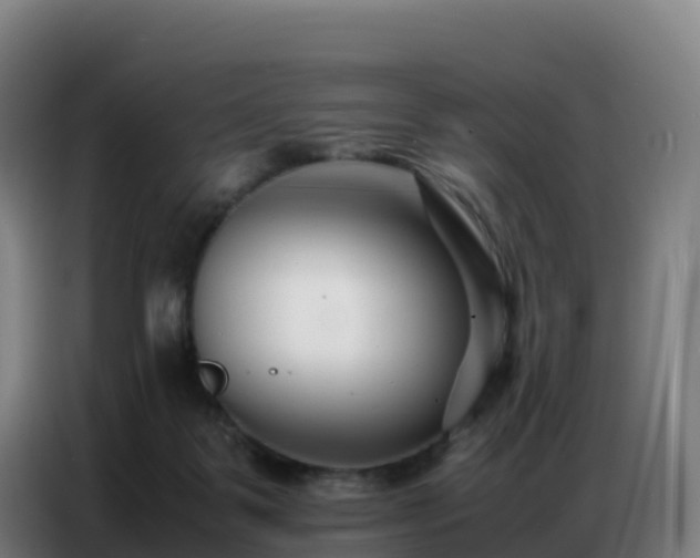 X0000086740123200704201713