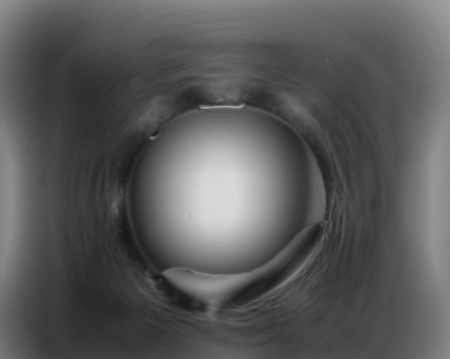 X0000086740125200704201713