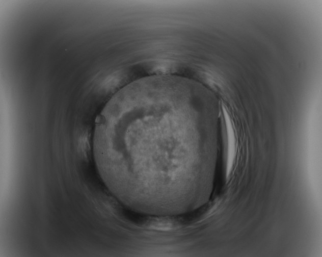 X0000086740127200704201713