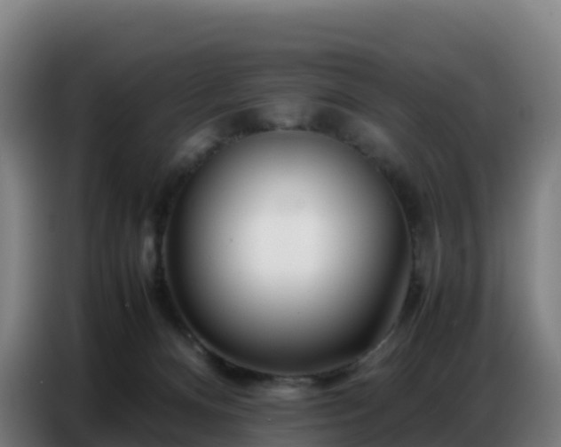 X0000086740128200704201713