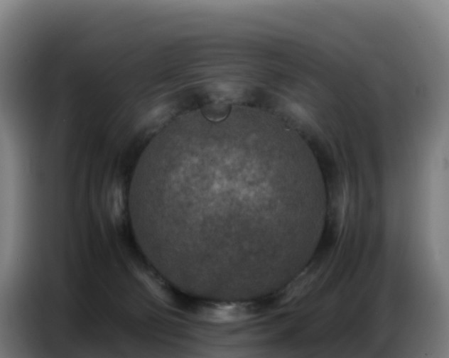 X0000086740130200704201713