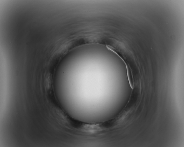 X0000086740133200704201713