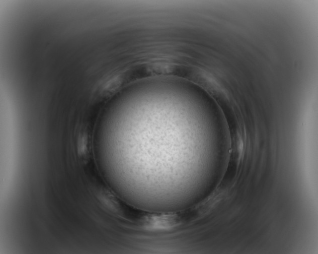 X0000086740134200704201713