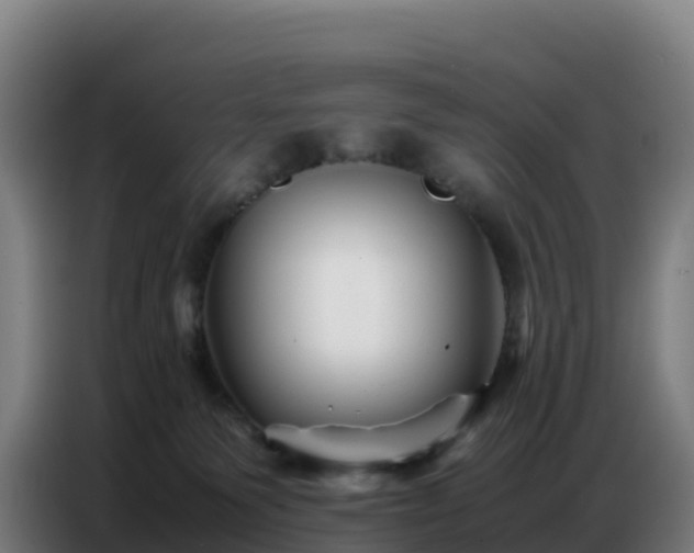 X0000086740135200704201713