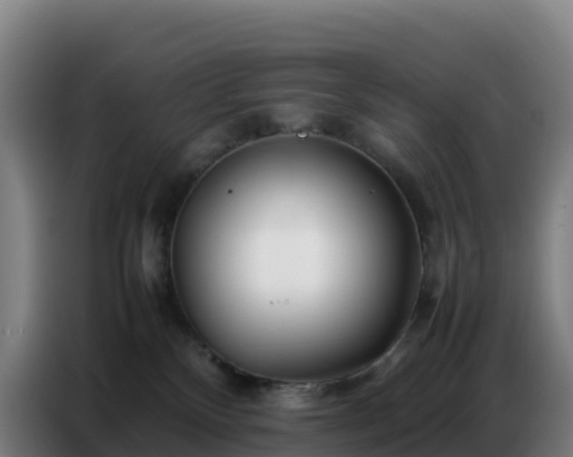 X0000086740136200704201713