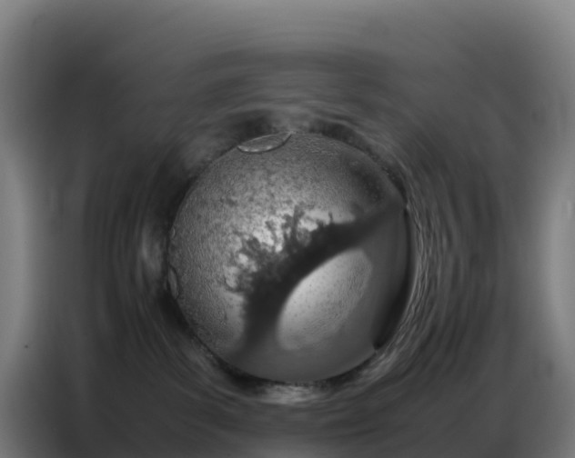 X0000086740139200704201713