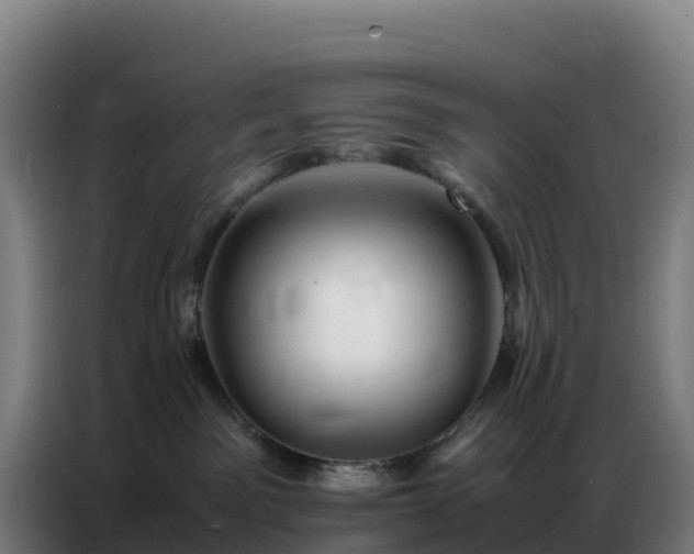 X0000086740141200704201713