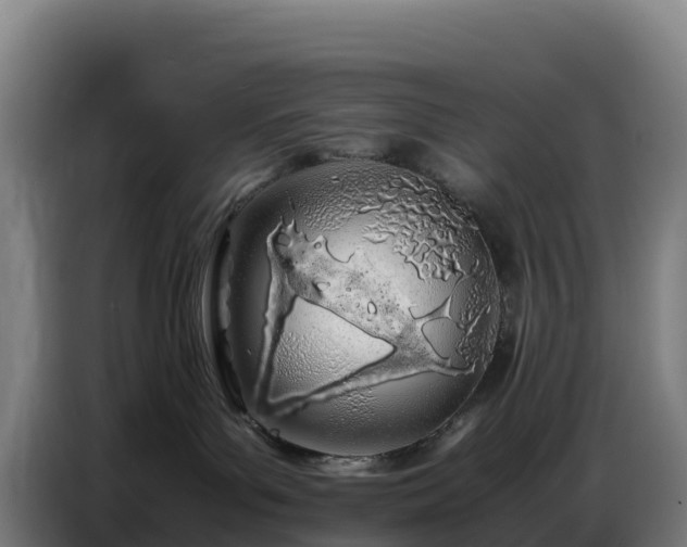 X0000086740143200704201713