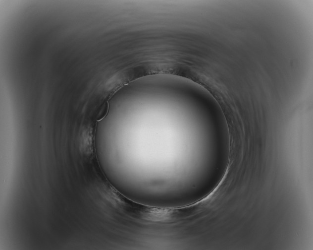 X0000086740144200704201713