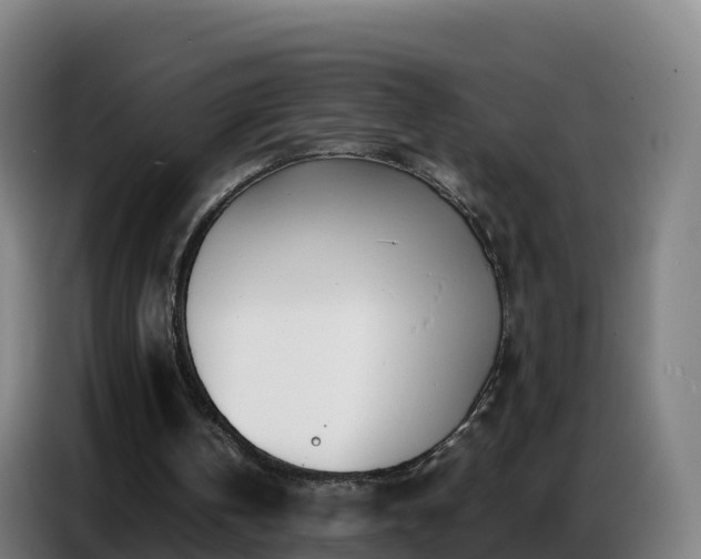 X0000086740146200704201712