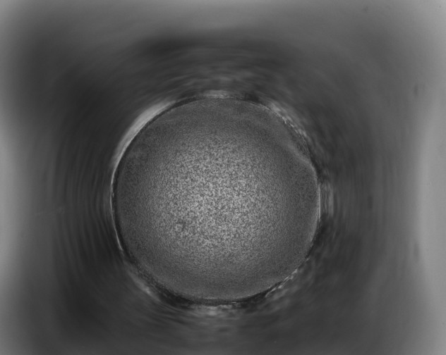 X0000086740147200704201712