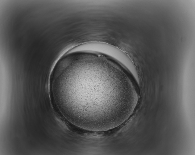 X0000086740148200704201712