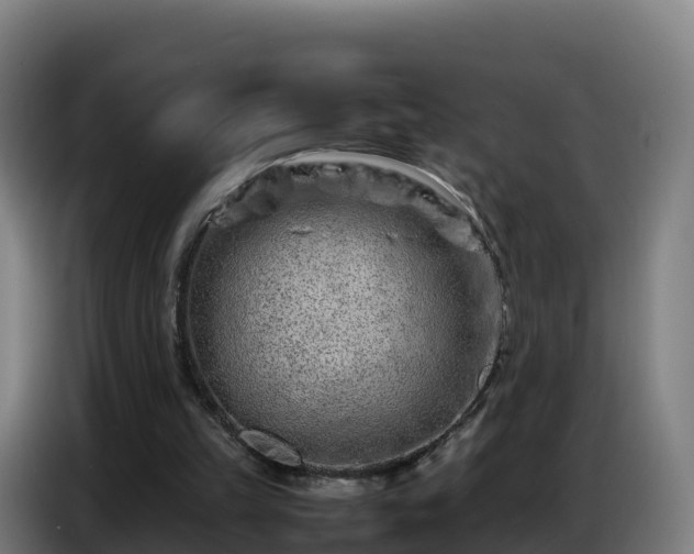 X0000086740149200704201712