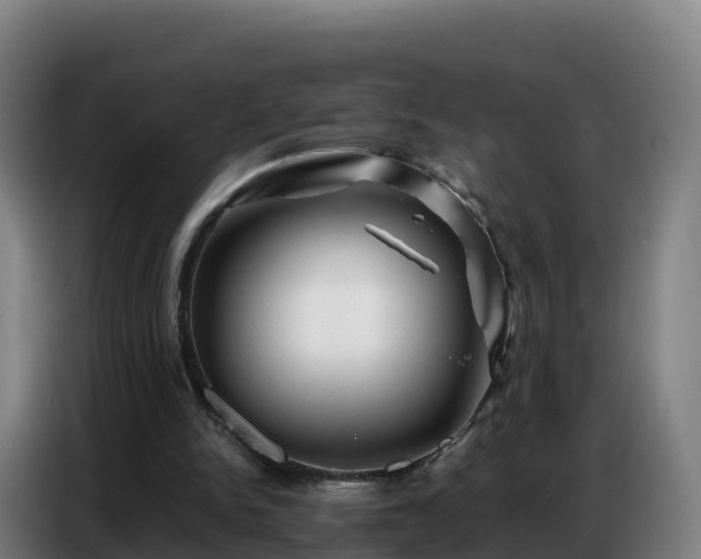 X0000086740150200704201712