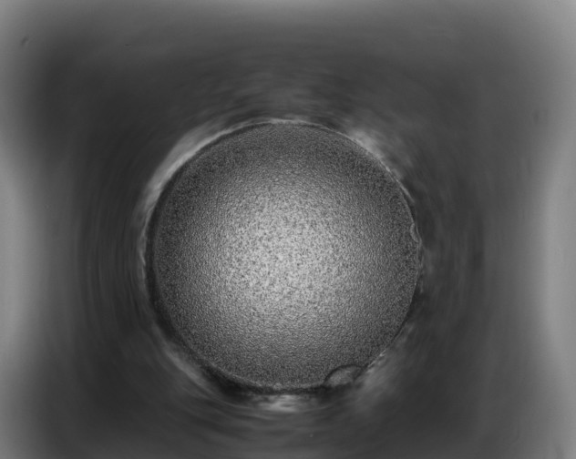 X0000086740151200704201712