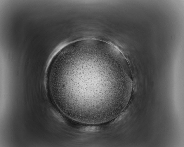 X0000086740152200704201712