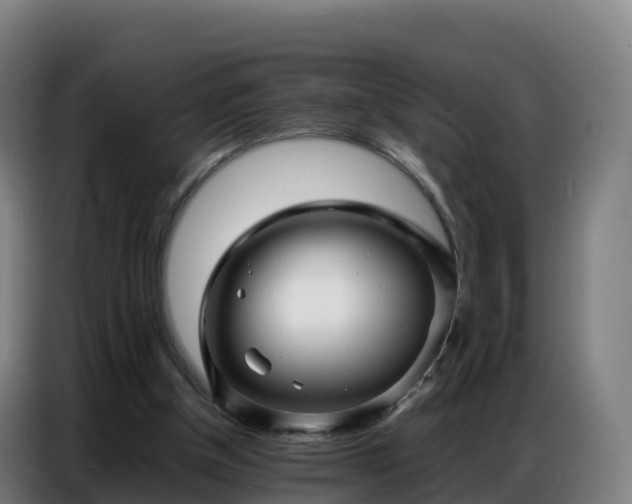 X0000086740154200704201712