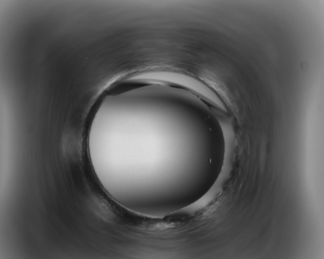 X0000086740156200704201712