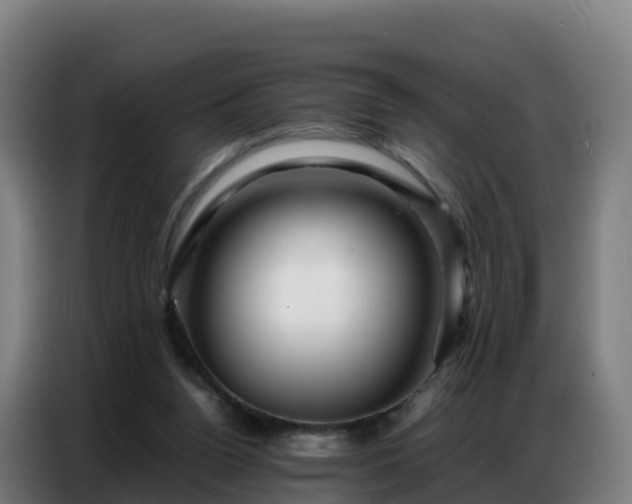 X0000086740160200704201712