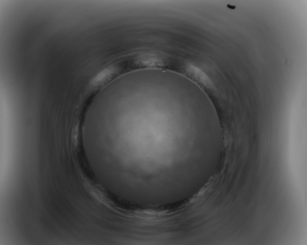 X0000086740163200704201712