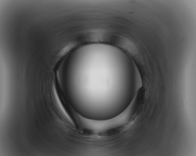 X0000086740164200704201712