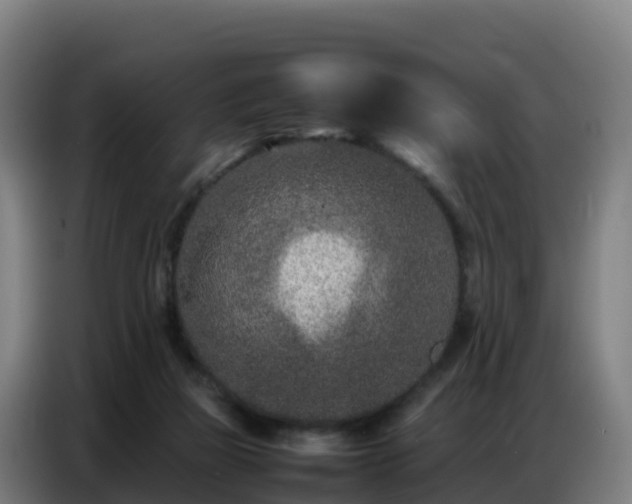 X0000086740165200704201712