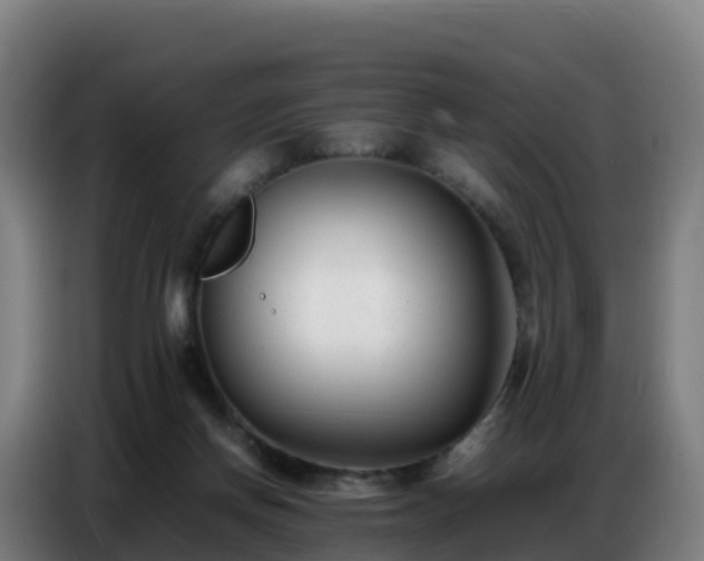 X0000086740166200704201712