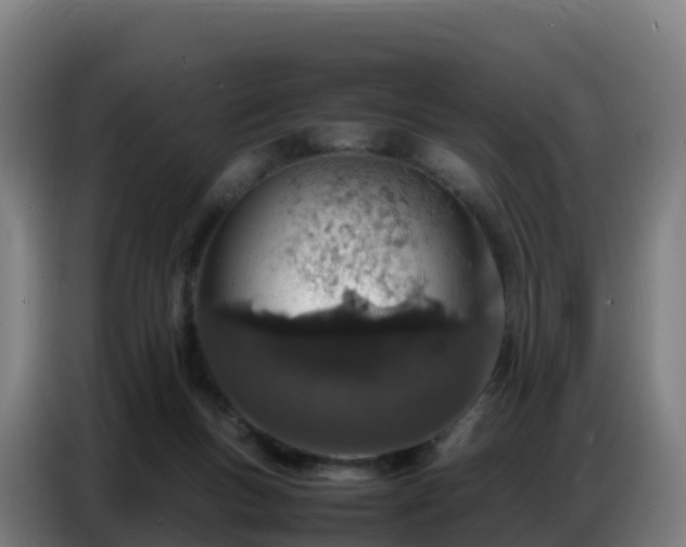 X0000086740167200704201712