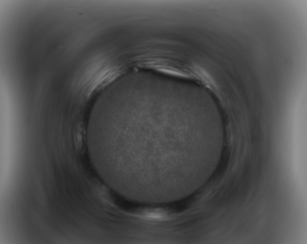 X0000086740169200704201713