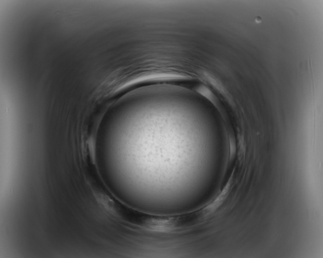 X0000086740170200704201713