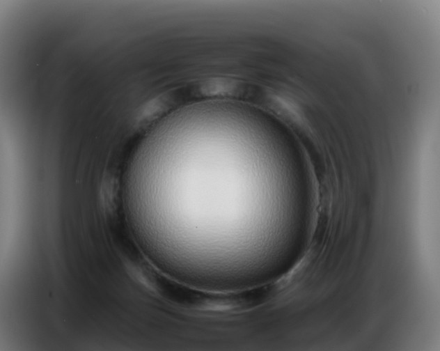 X0000086740171200704201713