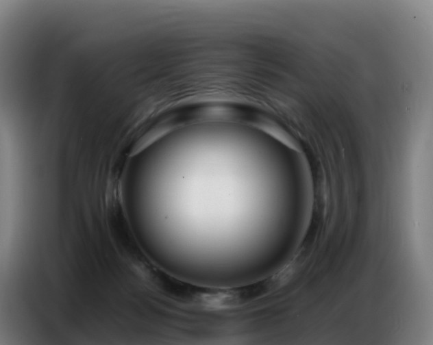 X0000086740172200704201713