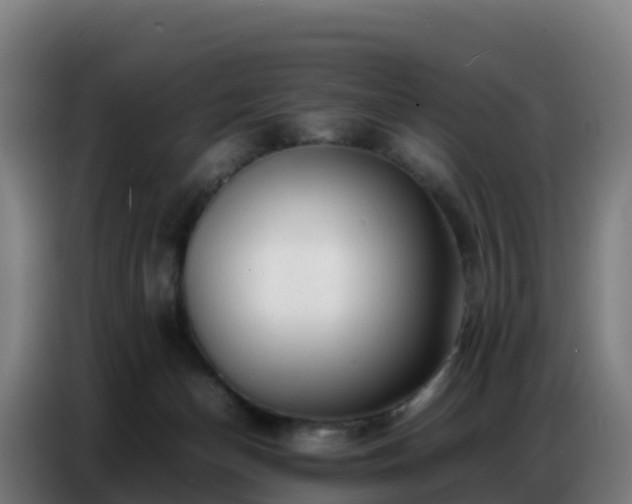 X0000086740174200704201713