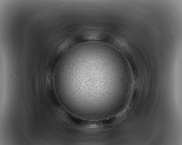 X0000086740175200704201713