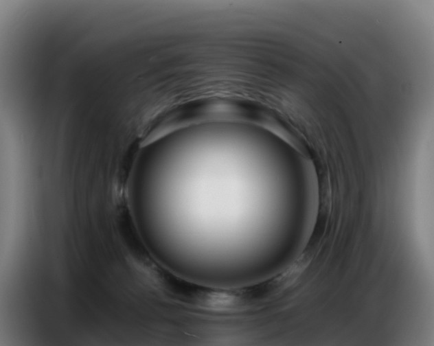 X0000086740176200704201713