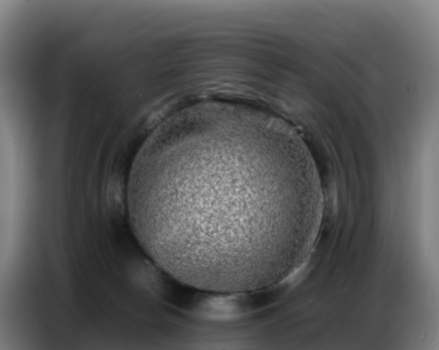 X0000086740178200704201713