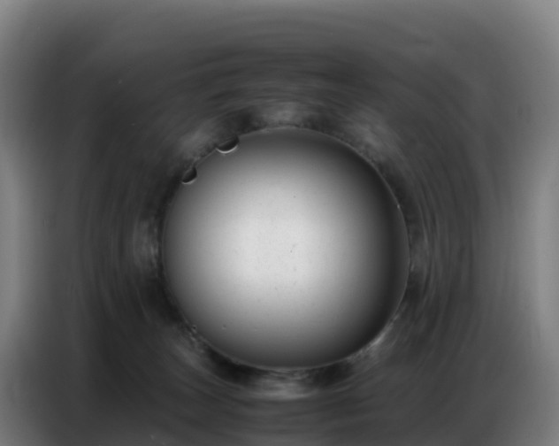 X0000086740179200704201713