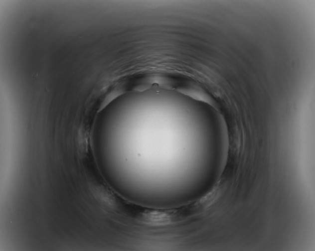 X0000086740180200704201713