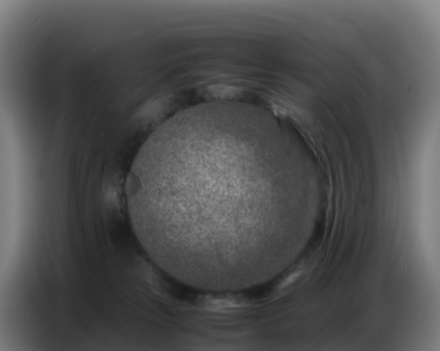 X0000086740181200704201713