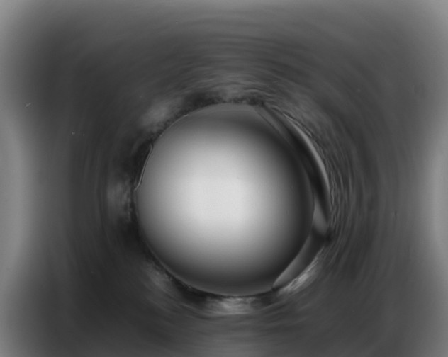 X0000086740184200704201713