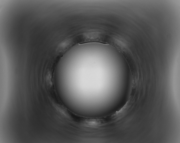 X0000086740187200704201713