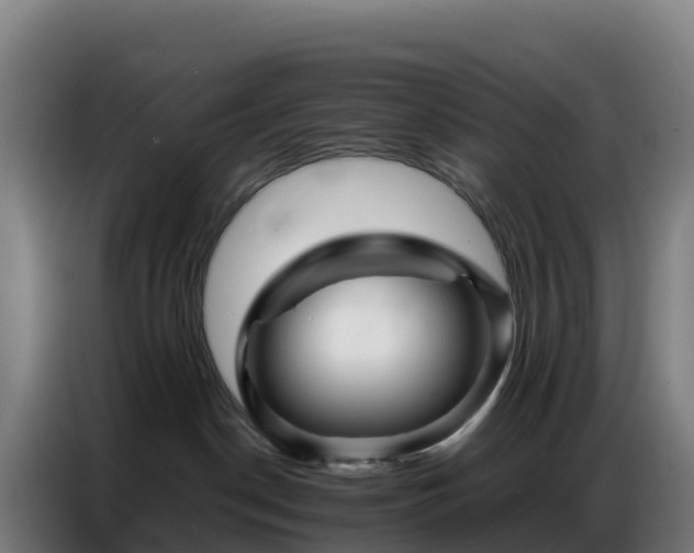 X0000086740190200704201713