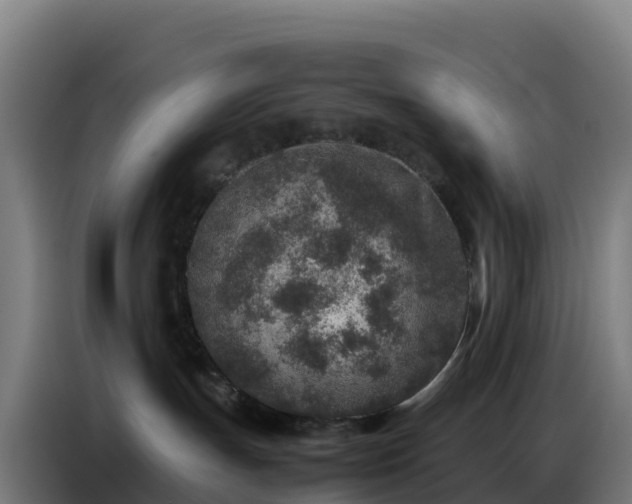 X0000086740191200704201713