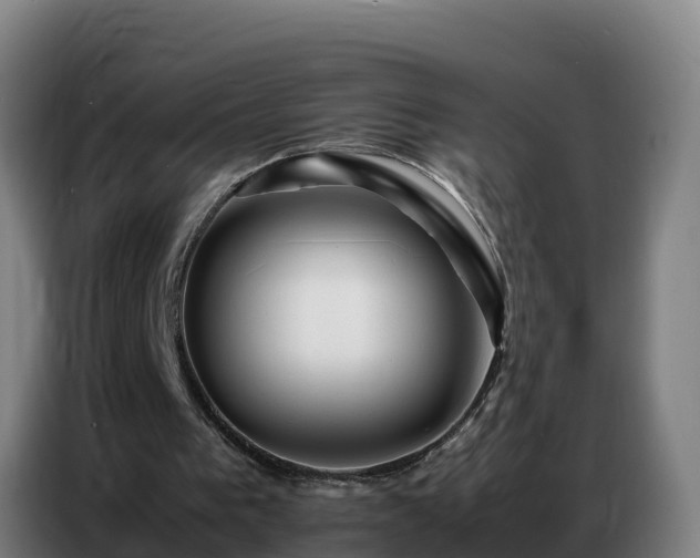 X0000086740193200704201712