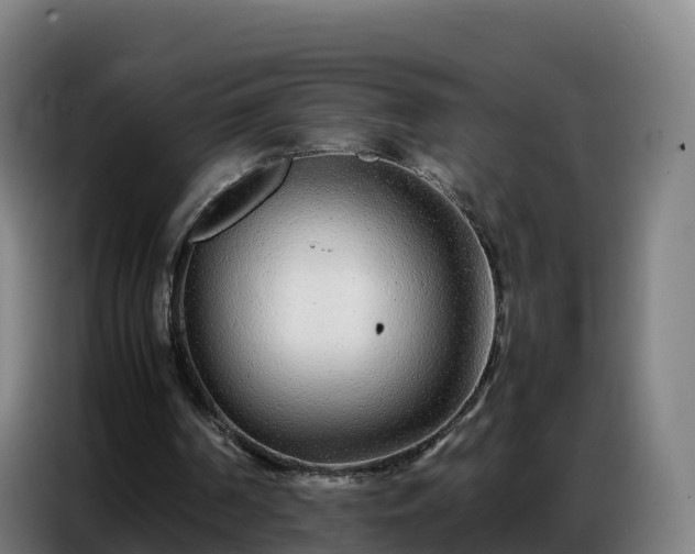 X0000086740194200704201712