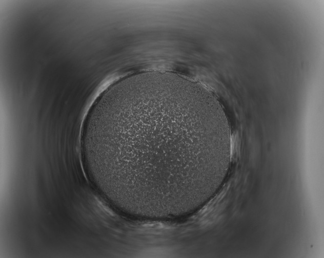 X0000086740195200704201712